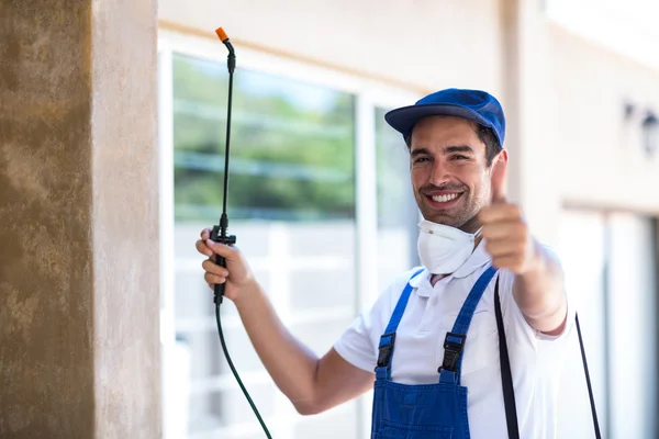 Palm Desert Wasp Removal