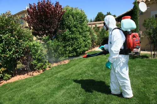 Palm Desert Mosquito Control