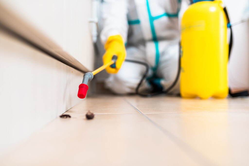 Palm Desert Cockroach Experts