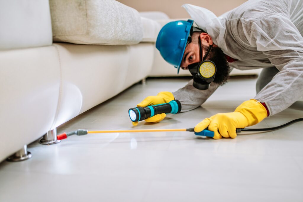Palm Desert Termite Control
