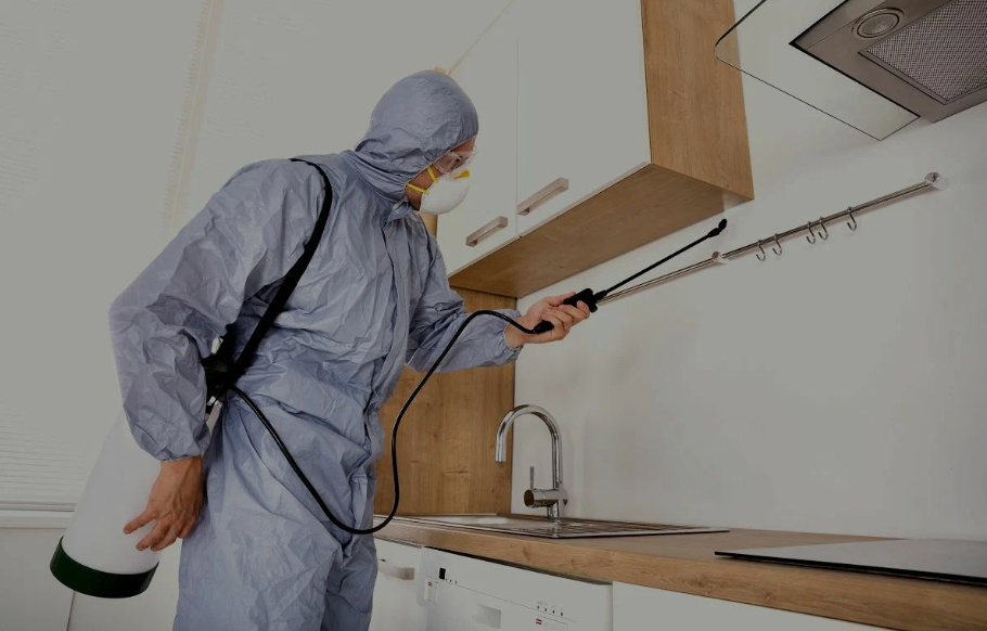 Palm Desert pest managment
